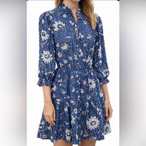 LOFT Dahlia Ruffle Button Swing Dress.